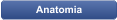 Anatomia