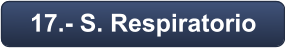 17.- S. Respiratorio