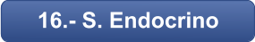 16.- S. Endocrino