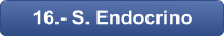 16.- S. Endocrino